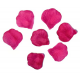 Набор лепестков роз темно розового цвета